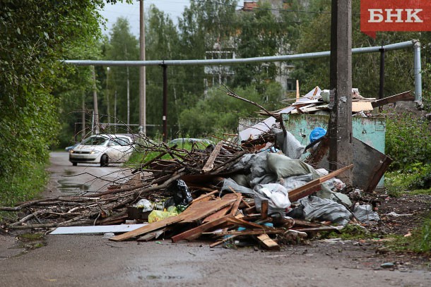 В рамках проекта «Генеральная уборка» в Коми ликвидировано 60 свалок