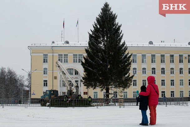 Сыктывкар мог остаться без новогодней елки