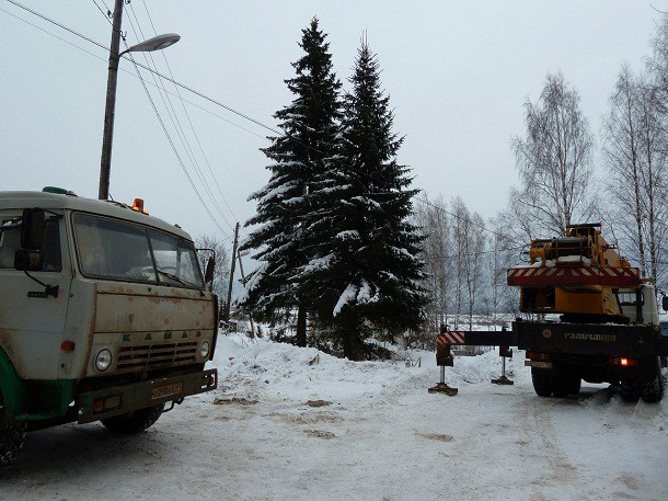 Вырубку ёлки возле отделения скорой помощи в Выльгорте согласовали районные власти