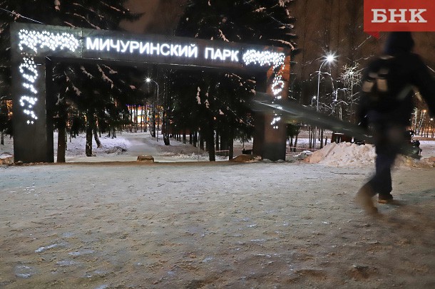 В Мичуринском парке Сыктывкара появится новый газон