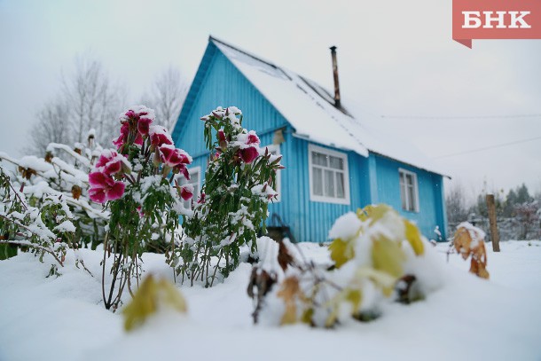 Рейтинг БНК: сколько стоят дачи в пригороде Сыктывкара