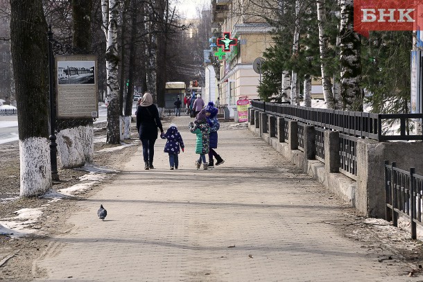 В Коми 32 семьи обратились за ежемесячной выплатой из маткапитала