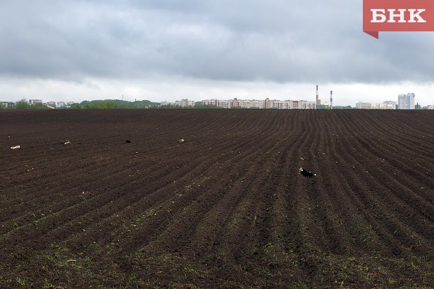 В Коми стартовала посевная кампания