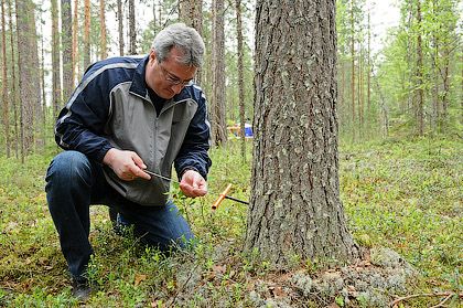 KAB_1795.JPG KAB_1795.JPG