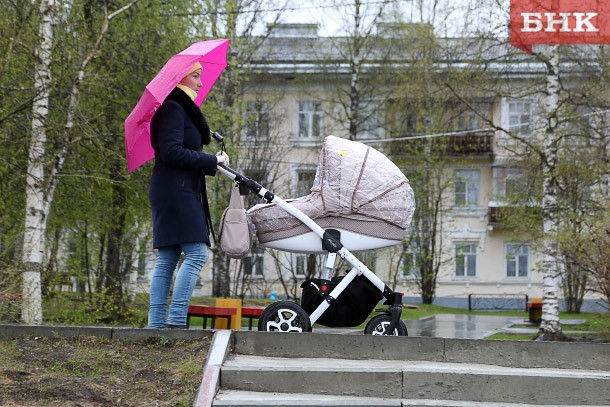 В Коми появятся профессиональные няни