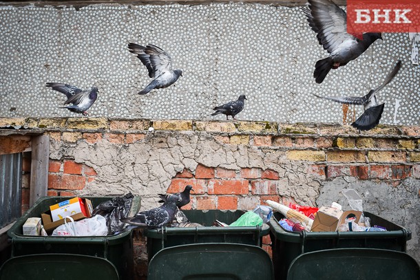 Регоператору не хватает контейнеров для мусора в Сыктывкаре