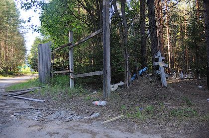 Фото лагеря чайка в павловске