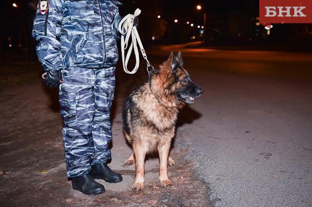 В Корткеросском районе служебная собака раскрыла кражу из магазина