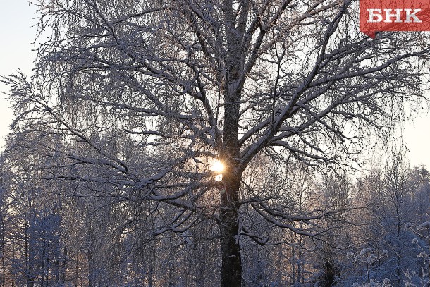 В Коми ожидается умеренно теплая погода