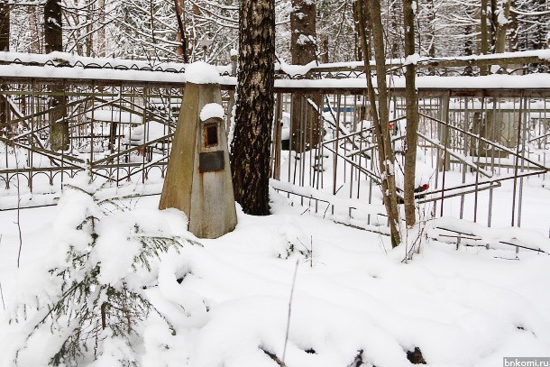 Сосногорец задушил тетю во время приступа