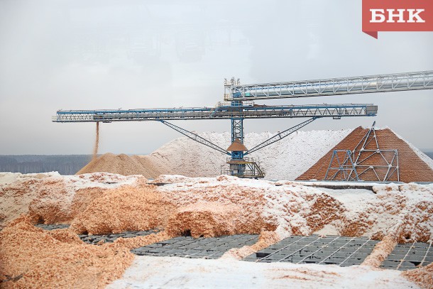 Откуда берется бумага: как лес превращается в щепу