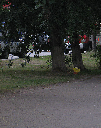 IMG_3228.jpg IMG_3228.jpg