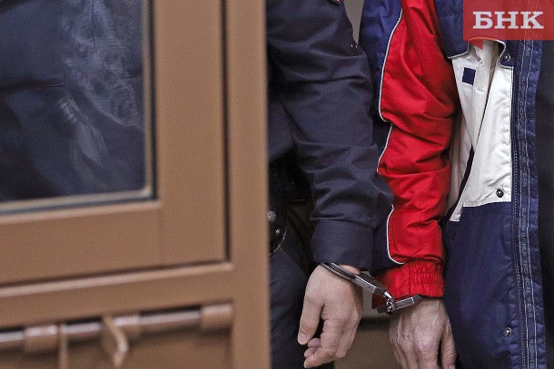В Воркуте мигрант напал на девушку с собакой