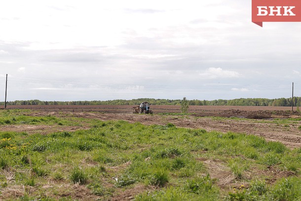 В Коми стало меньше сельскохозяйственных земель